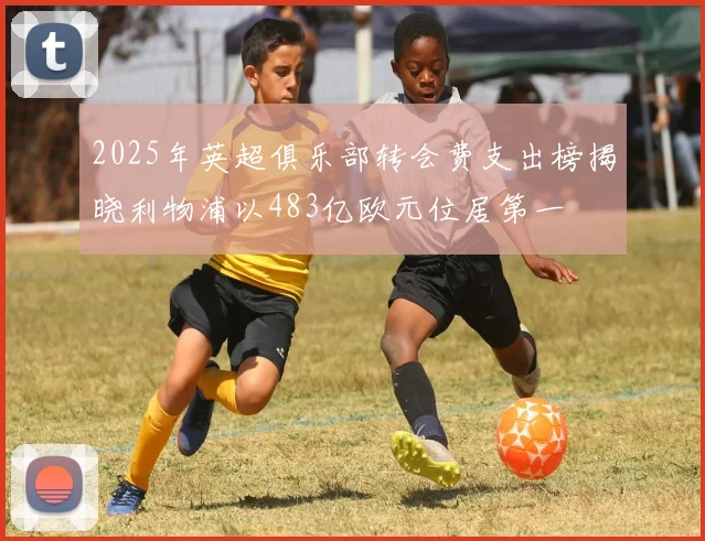 2025年英超俱乐部转会费支出榜揭晓利物浦以483亿欧元位居第一