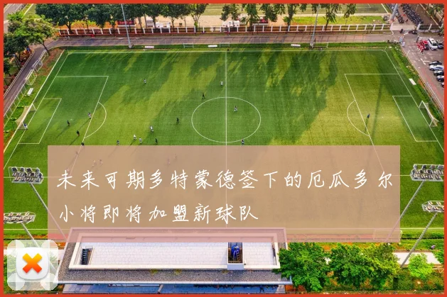 未来可期多特蒙德签下的厄瓜多尔小将即将加盟新球队